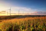 Windmill_64