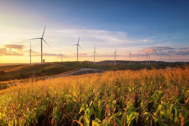 Windmill_64