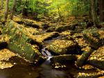 river_001
