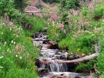 river_003