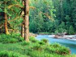 river_005