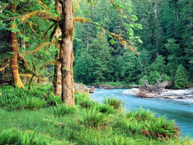 river_005