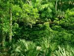 river_006