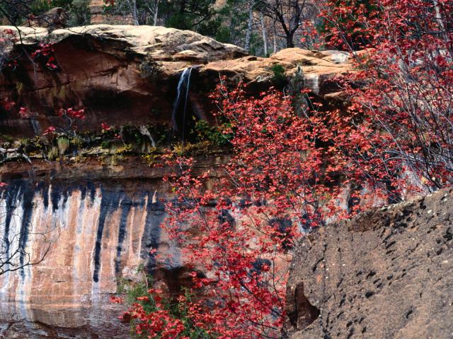 river_010