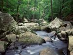 river_011