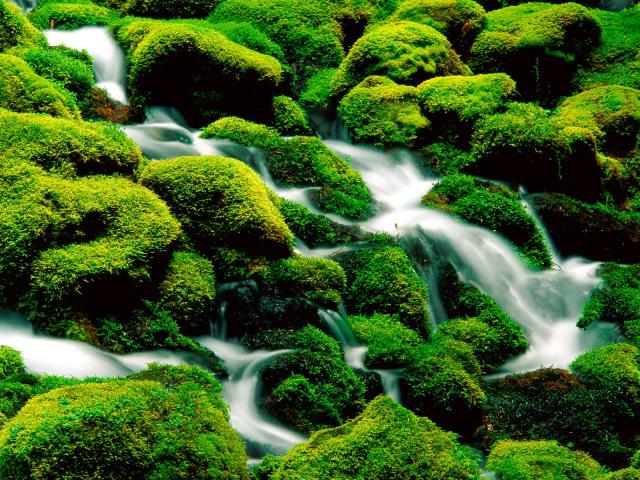 river_013