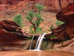 river_016