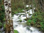 river_018