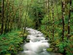 river_034