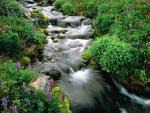 river_037
