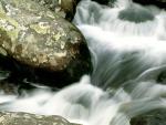 river_039
