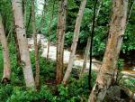 river_044