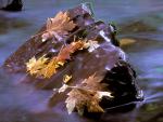 river_050