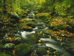 river_056