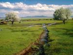 river_059
