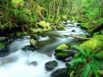 river_060