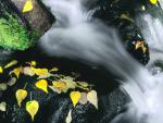 river_062
