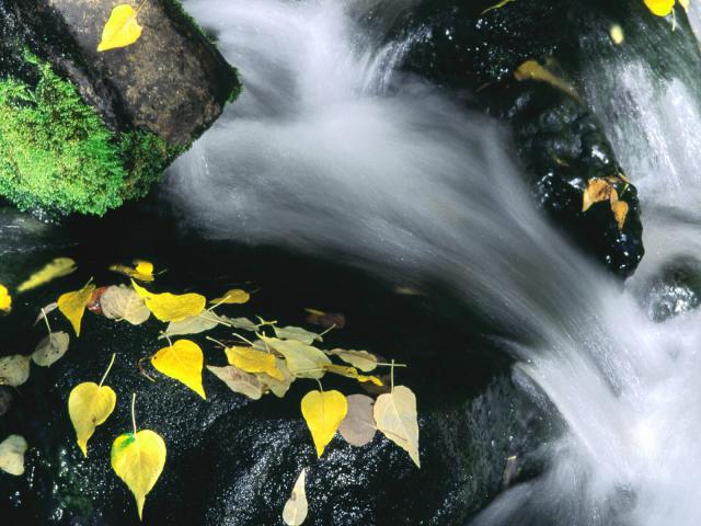 river_062