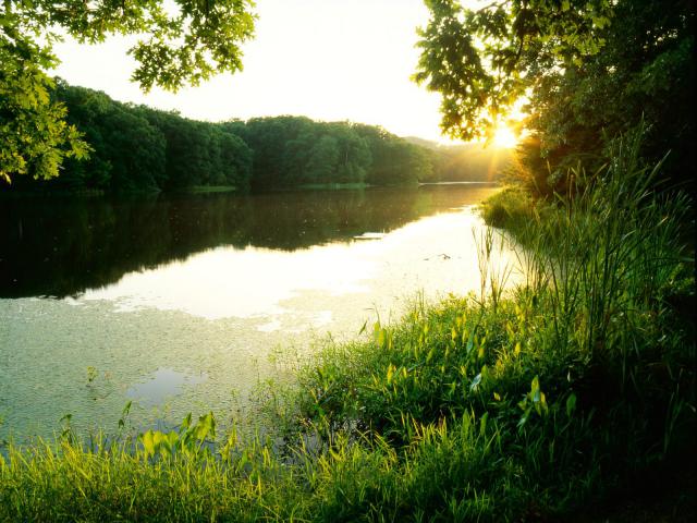river_065
