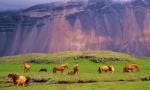 iceland_15