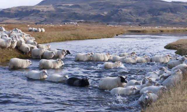 iceland_17