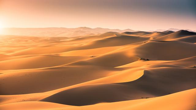 Desert_129