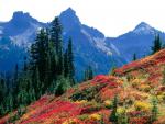mountains_012