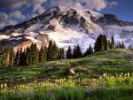 mountains_018