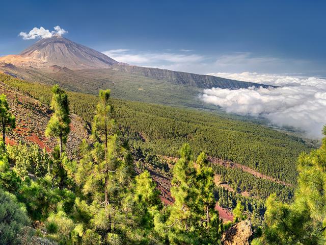 mountains_345