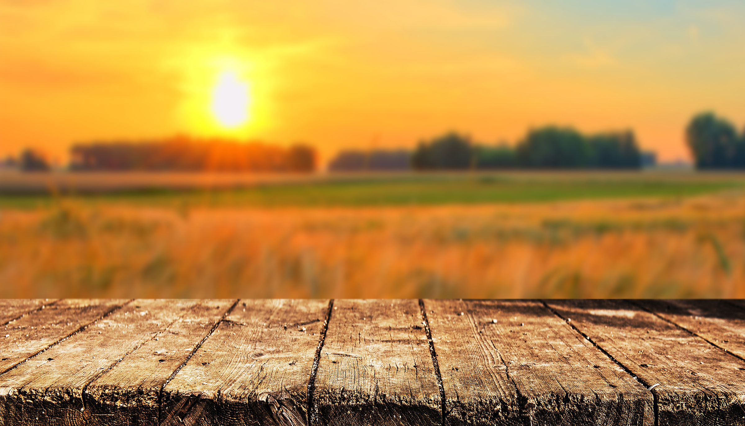 Sunrise_384