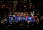 hoya_pacquiao12