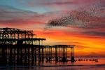 Sunset_1169