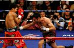hoya_pacquiao50