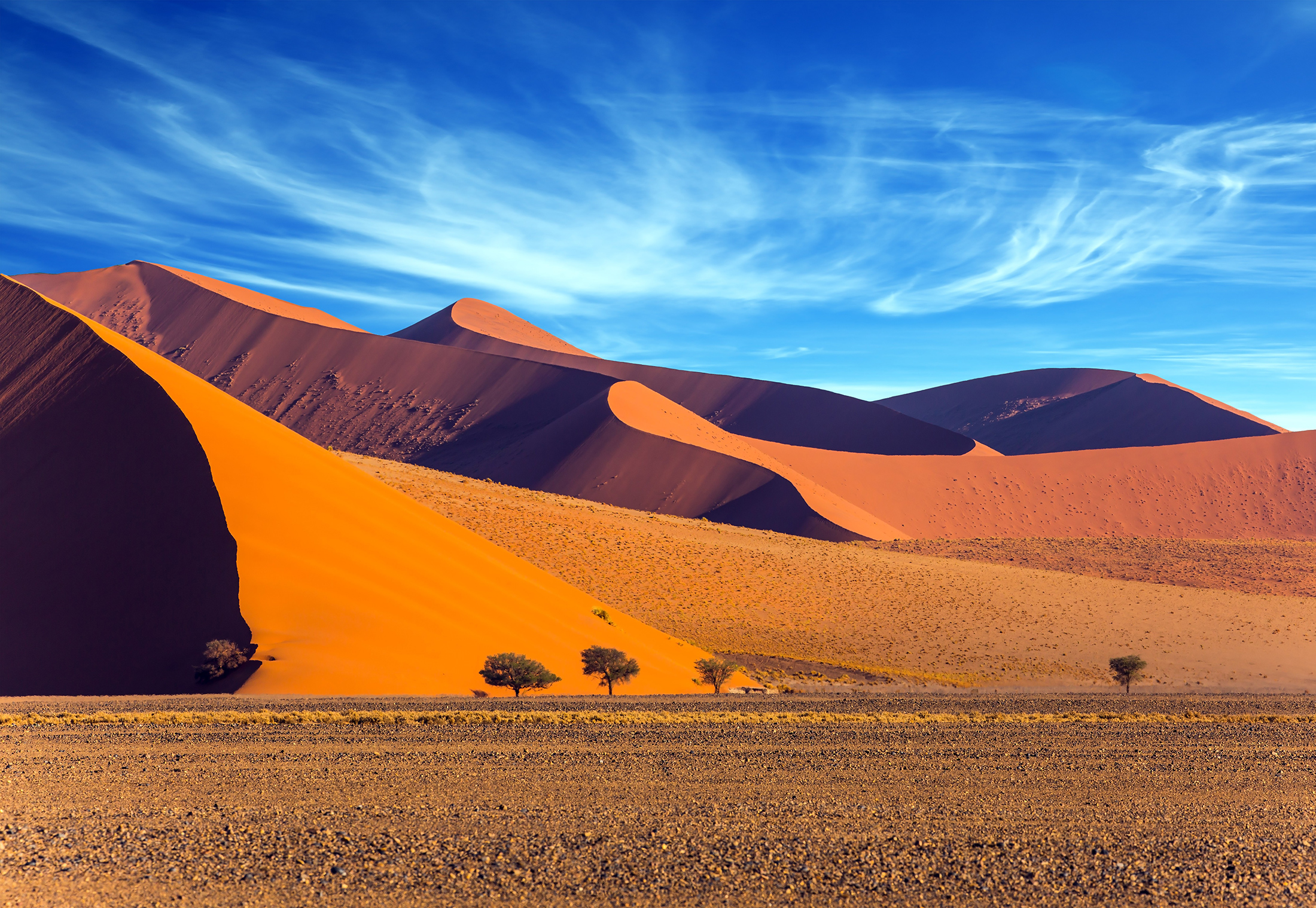 Desert_133