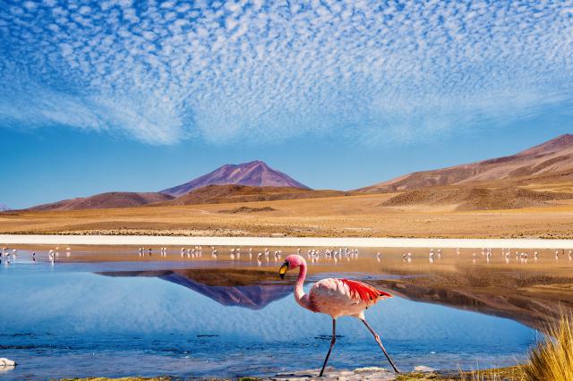 south_america_241