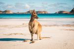 Australia_211