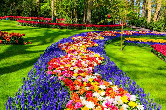 Flower_108