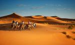 Desert_141