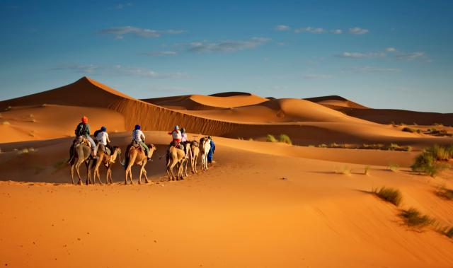 Desert_141
