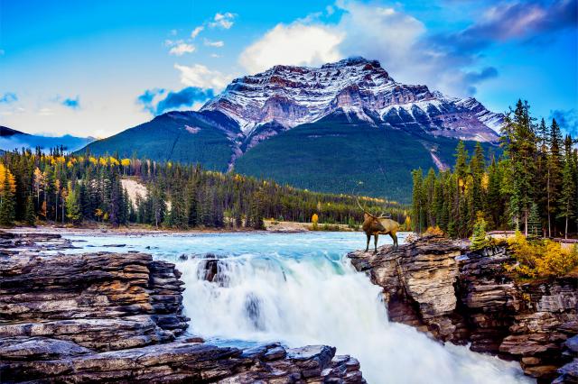 waterfalls_532