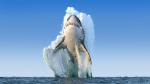 ocean-life-772