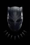 black_panther_01