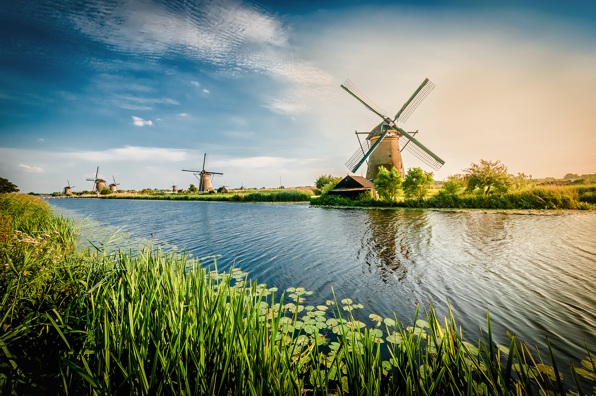 Windmill_83