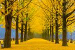 south_korea_19