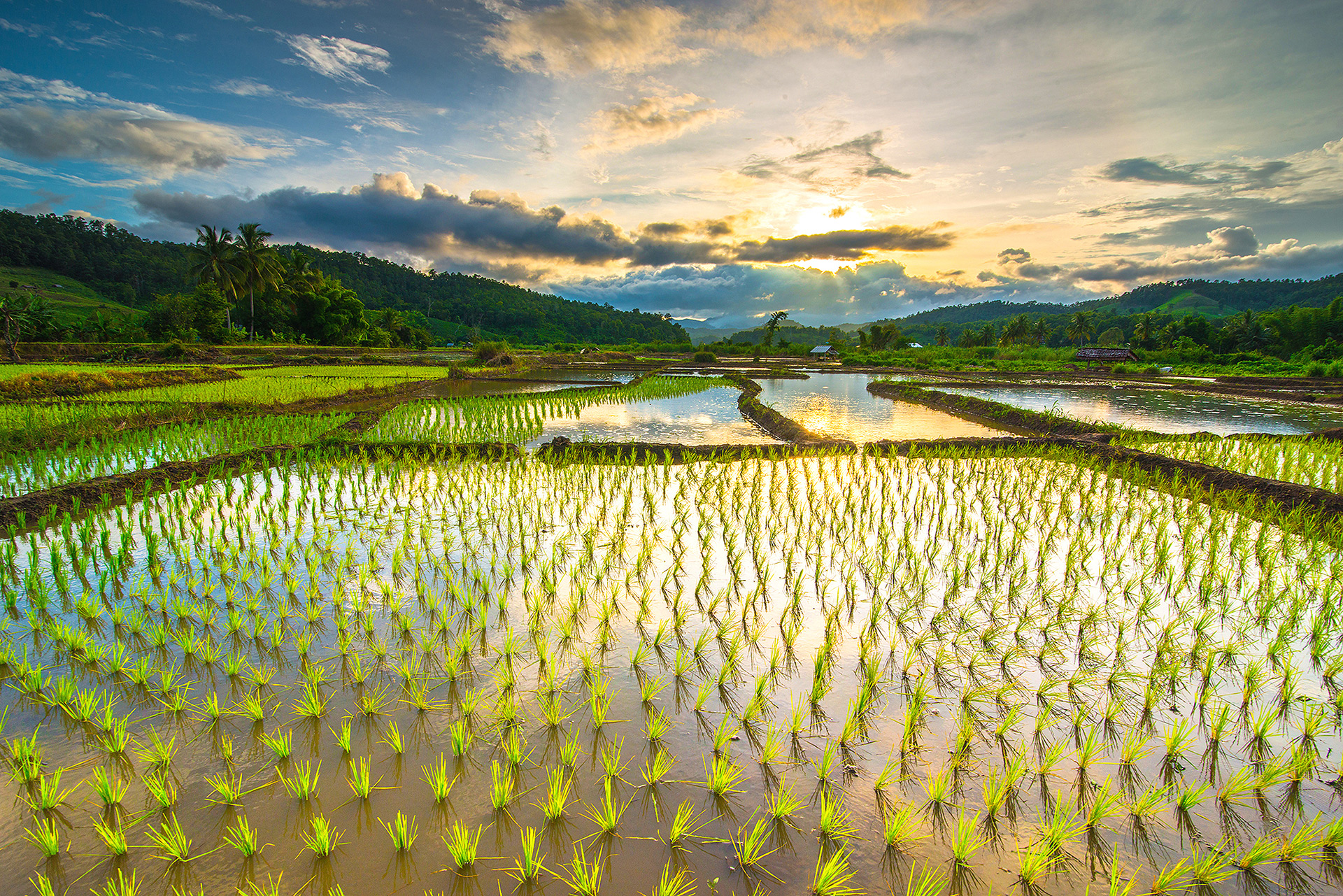 Sunset_1302