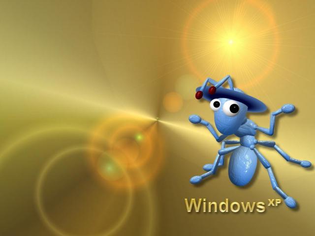windows_xp_045