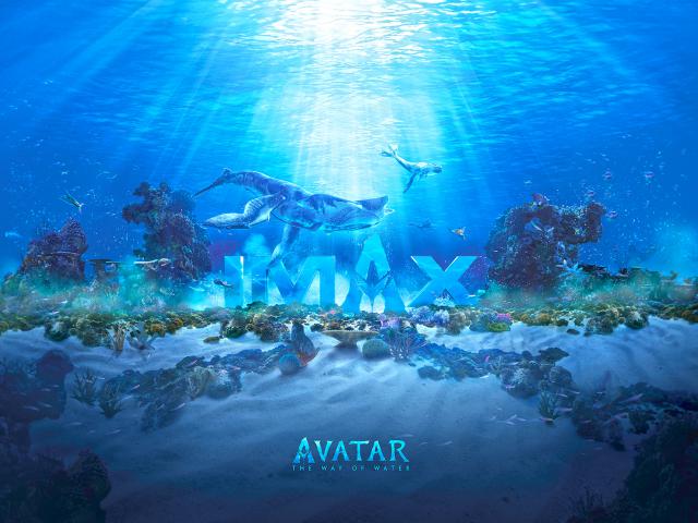 avatar_15