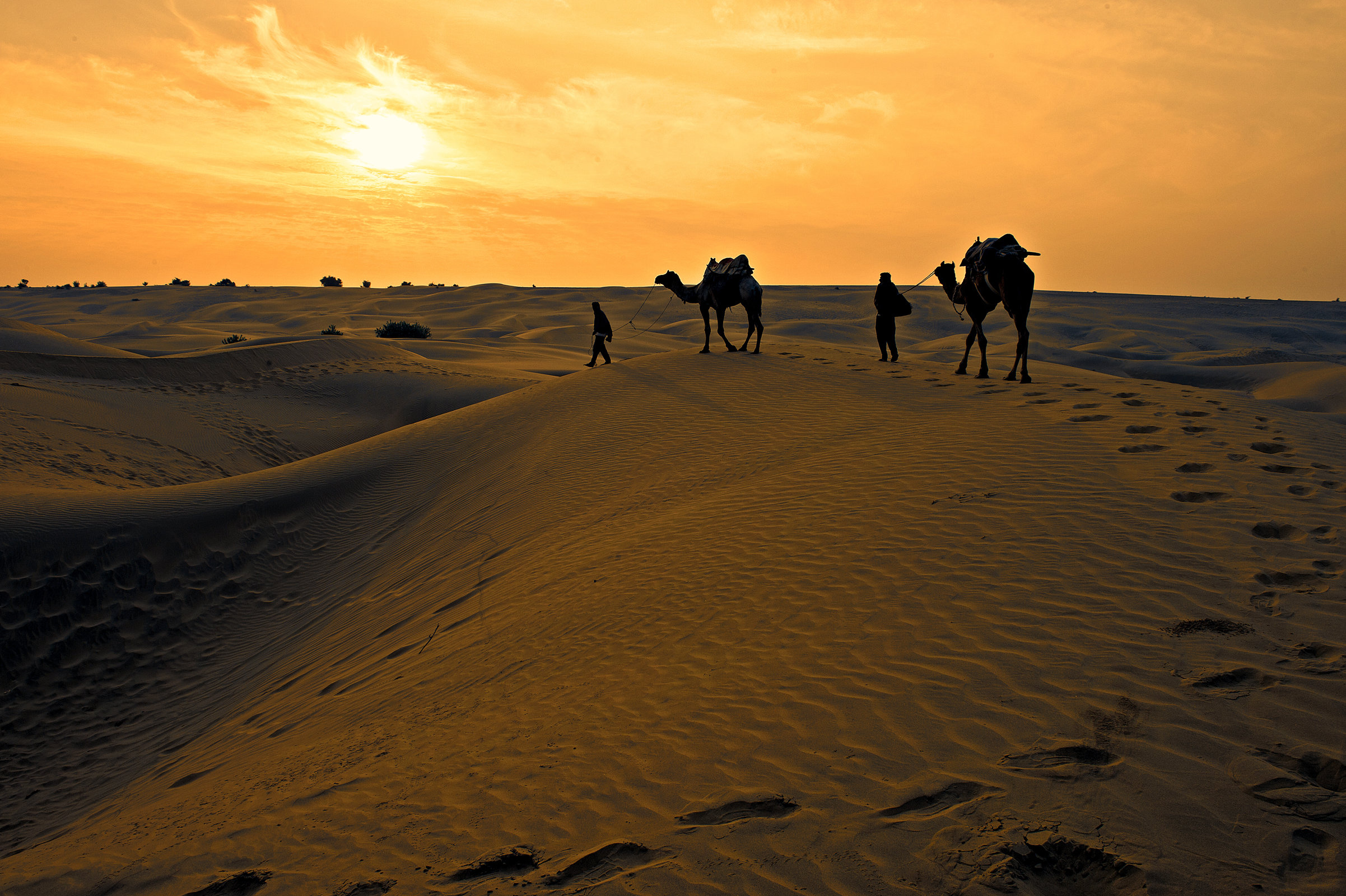 Desert_151