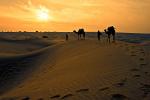 Desert_151
