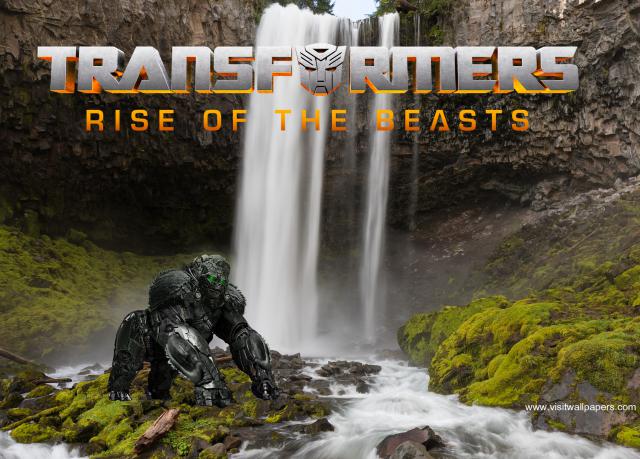 transformers179
